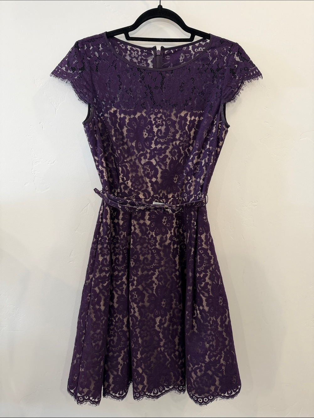 Eliza J Purple Lace Belted Fit & Flare Dress